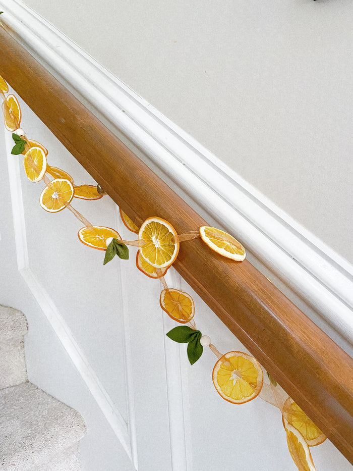 7’ Ribbon Dried Orange Garland with Felt Leaves