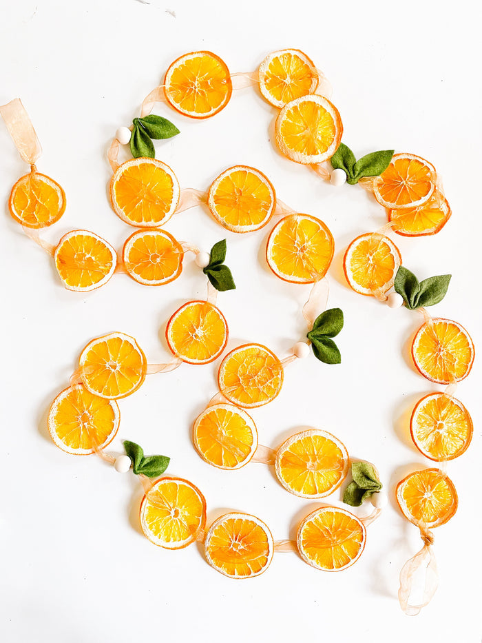 7’ Ribbon Dried Orange Garland with Felt Leaves