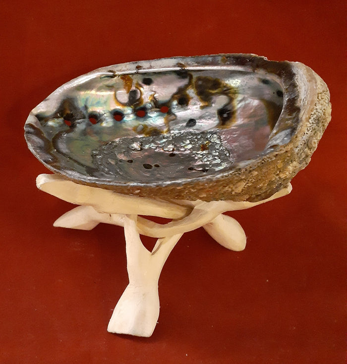 ABALONE SHELL 6-7 inches W/TRIPOD