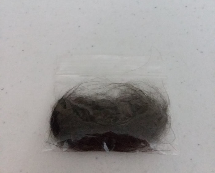 BLACK CAT HAIR