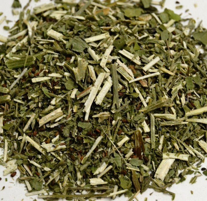 Blue Vervain - Dragon Herbarium