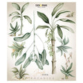 Botanical Wall Sticker