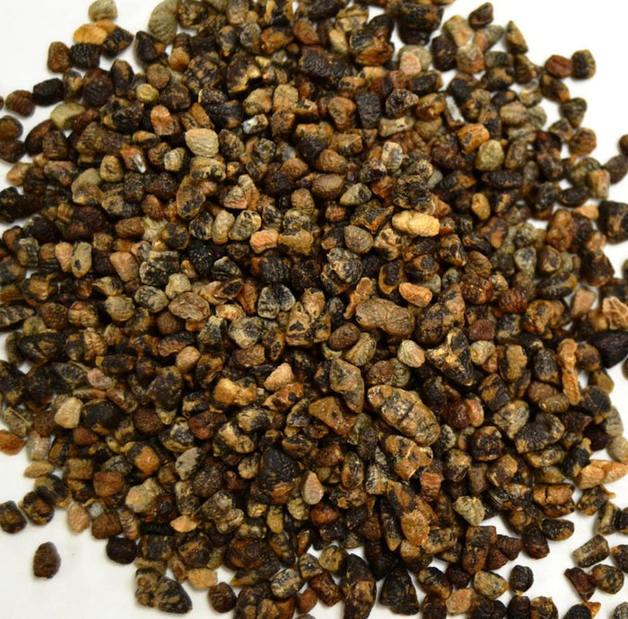 Cardamom Seed (Decorticated) - Dragon Herbarium