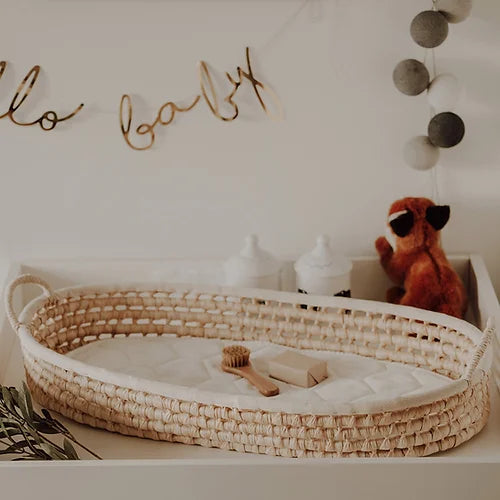 Moses Changing Basket