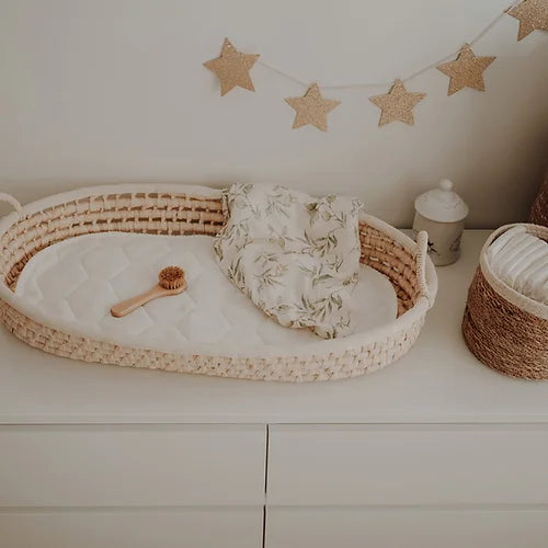 Moses Changing Basket