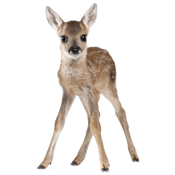 Deer Wall Sticker