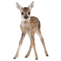Deer Wall Sticker