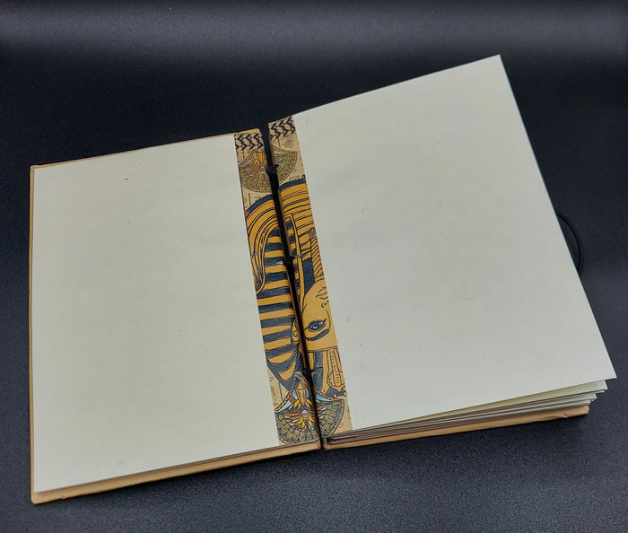 EGYPTIAN JOURNAL  (BOS)