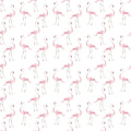 Pink Flamingo Wallpaper