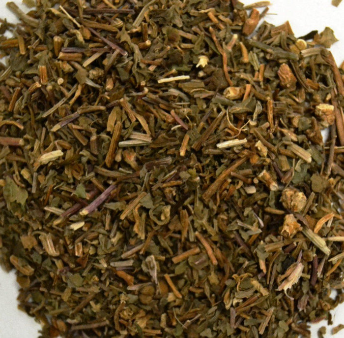 Gotu Kola - Dragon Herbarium