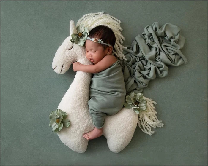 Horse Baby Photography Props