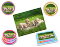 Labrador Edible Image Frosting Sheet #11 Topper (70+ sizes)