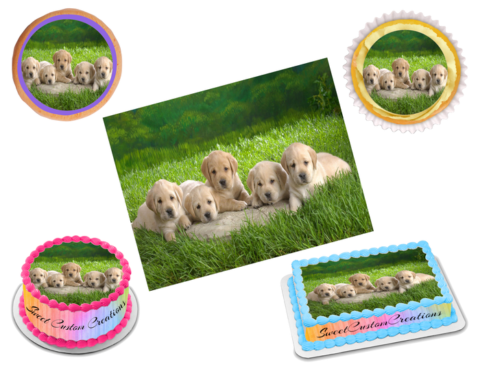 Labrador Edible Image Frosting Sheet #11 Topper (70+ sizes)