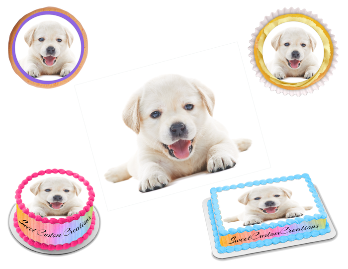 Labrador Edible Image Frosting Sheet #12 Topper (70+ sizes)