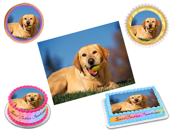 Labrador Edible Image Frosting Sheet #13 Topper (70+ sizes)