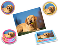 Labrador Edible Image Frosting Sheet #13 Topper (70+ sizes)