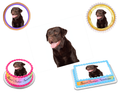Labrador Edible Image Frosting Sheet #6 Topper (70+ sizes)