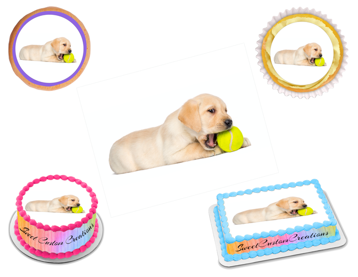 Labrador Edible Image Frosting Sheet #8 Topper (70+ sizes)