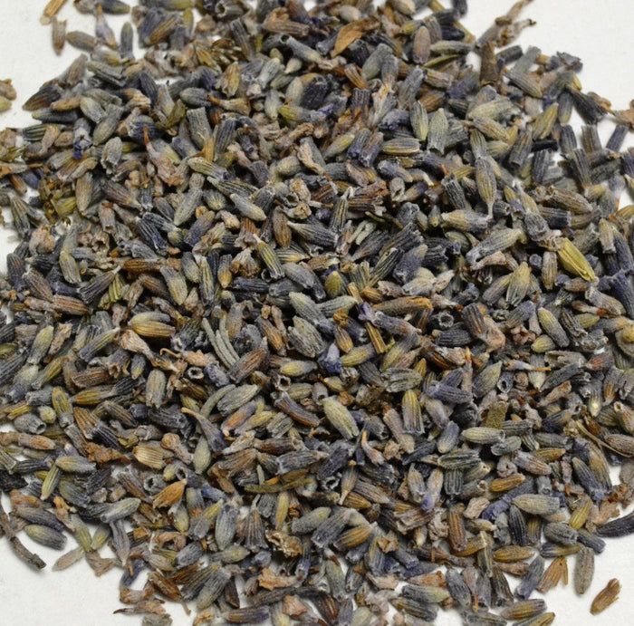 Lavender Flowers - Dragon Herbarium