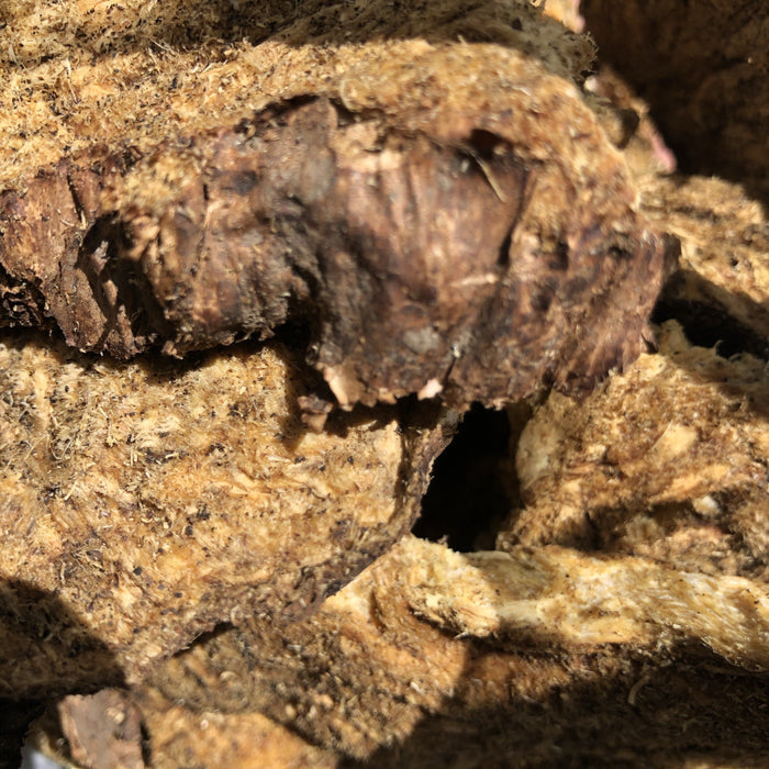 Lomatium Root Slices