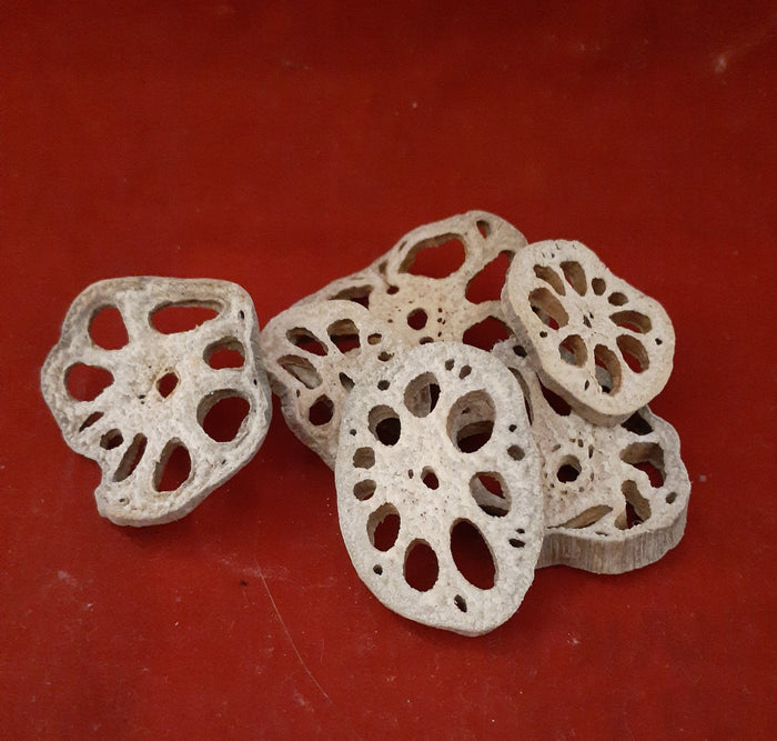 LOTUS ROOT
