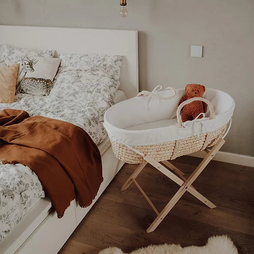 moses basket