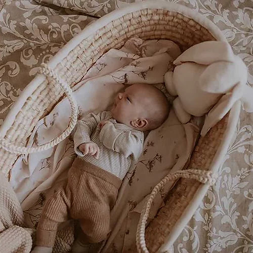 moses basket