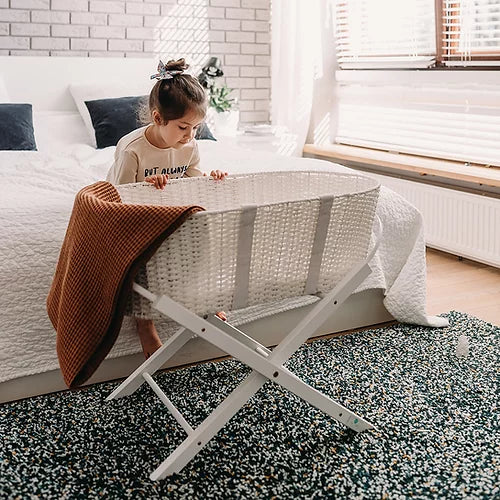 Moses Basket