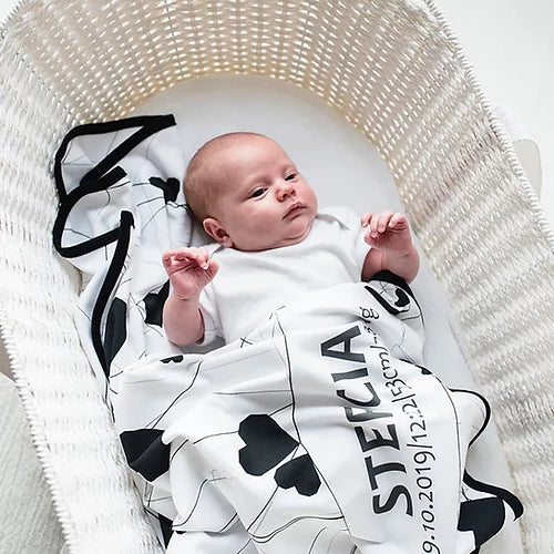 Moses Basket