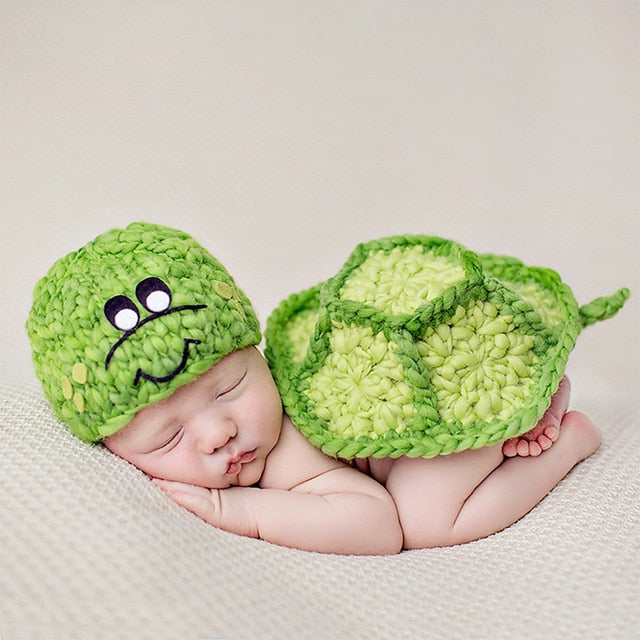Mud Turtle
