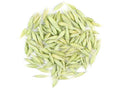Oat Tops - Dragon Herbarium