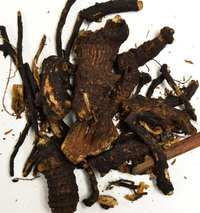 Osha Root - Dragon Herbarium