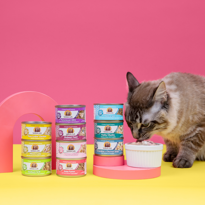 A cat eats from a white bowl next to stacks of Weruva Paw Lickin' Pals variety packs and boneless chicken cat food in colorful packaging, set against a pink and yellow background.
