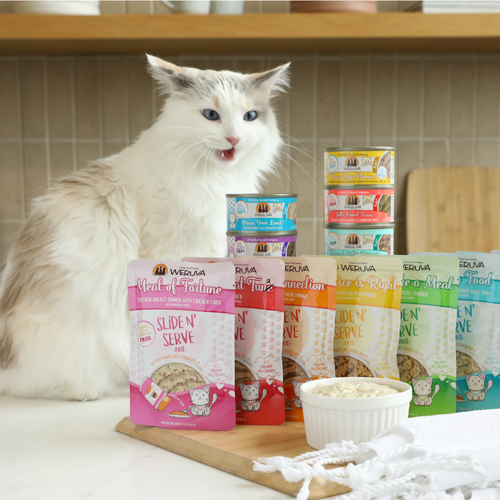 A fluffy white cat with gray markings sits on a counter beside colorful Weruva Press Your Dinner! packets and cans, eagerly licking its lips in front of a bowl filled with delicious, hydrating chicken breast cat food.