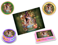 Princess Tiana Edible Image Frosting Sheet #11 (70+ sizes)