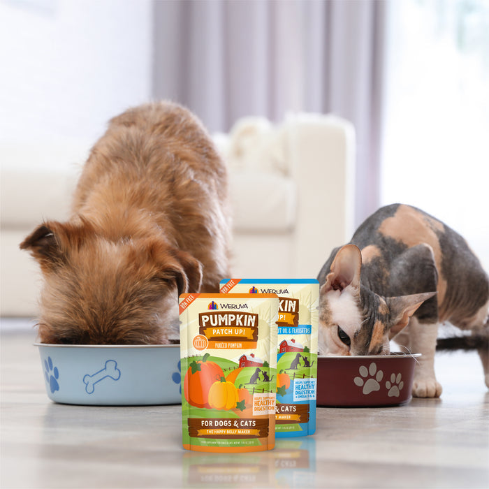 A brown dog and a hairless cat eat from pet bowls indoors, while packets of Weruva Pumpkin Pumpkin, What's Your Function?! Variety Pack support healthy digestion for both pets.