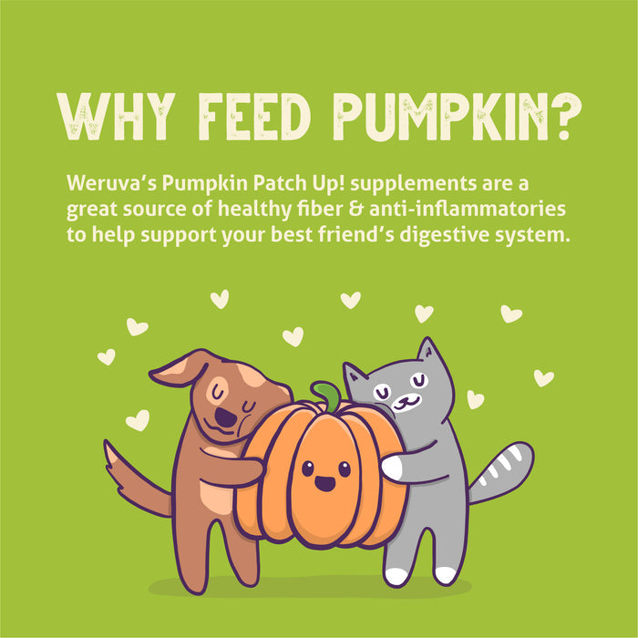 Illustration of a happy dog and cat hugging a large pumpkin, surrounded by small white hearts. Text above highlights Weruva Pumpkin with Coconut Oil & Flaxseeds for digestive support and healthy digestion. Green background.