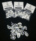 PURPLE RING TOP COWERY SHELLS
