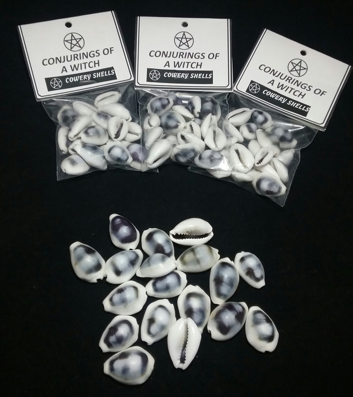PURPLE RING TOP COWERY SHELLS