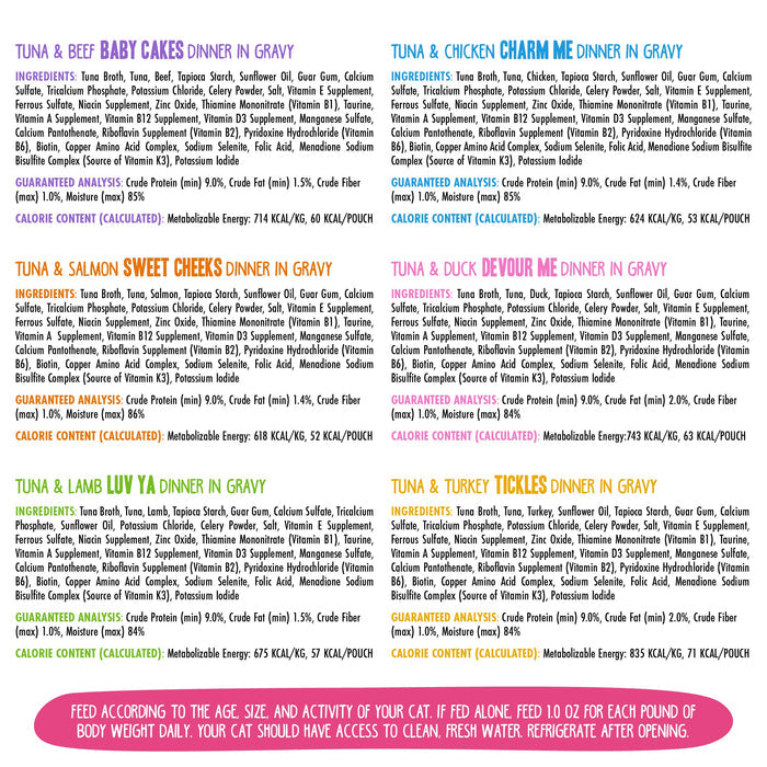 A chart featuring BFF Best Feline Friend Rainbow À Gogo cat food in gravy, with high-quality meat cuts, ingredients, calories, and feeding tips. The flavor name pops in bold colors with a tuna lover's guideline below.