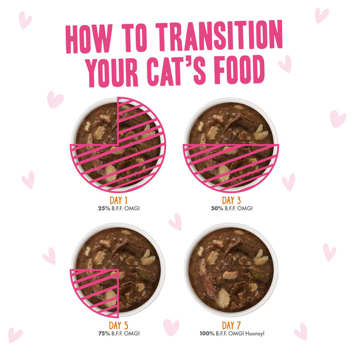 Infographic titled How to Transition Your Cat’s Food shows four bowls labeled days 1, 3, 5, and 7, gradually increasing BFF Best Feline Friend Rainbow À Gogo until reaching 100% by day 7. Pink hearts are included.