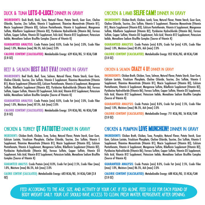A vibrant chart showcases six BFF Best Feline Friend Rainbow Road grain-free cat foods, each with playful names, ingredients, nutrition details, calories in bold color blocks, plus tips below for gravy-loving cats on feeding and storage.