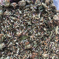 Red Clover - Dragon Herbarium