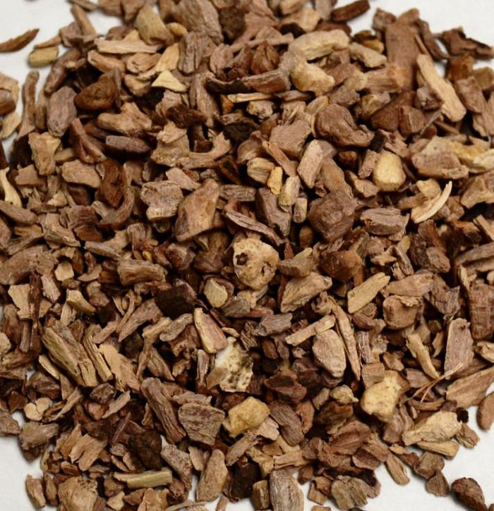 Red Root - Dragon Herbarium