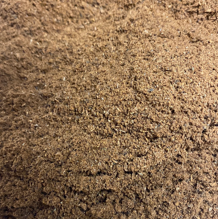 Sassafras Bark Powder - Dragon Herbarium