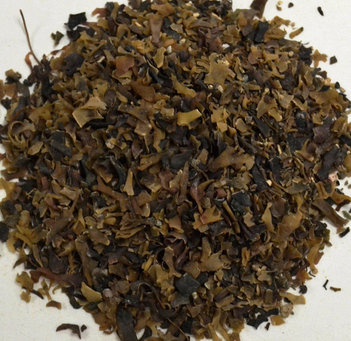Irish Moss Granules - Dragon Herbarium