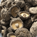 Shiitake Mushroom