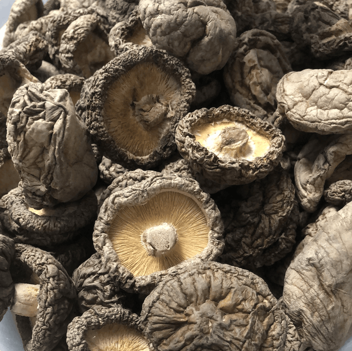Shiitake Mushroom