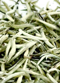 Silver Needle White Tea (C)
