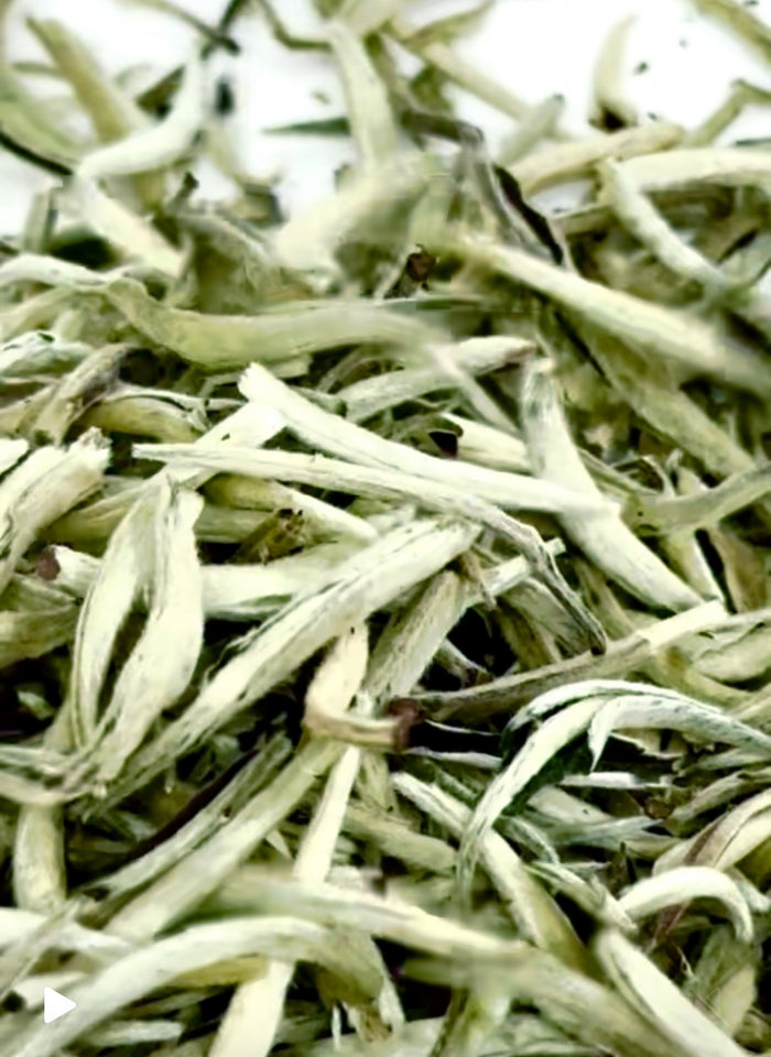 Silver Needle White Tea (C)